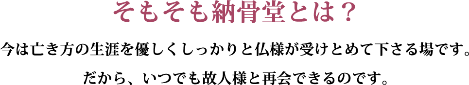 そもそも納骨堂とは？今は亡き方の生涯を優しくしっかりと仏様が受けとめて下さる場です。だから、いつでも故人様と再会できるのです。