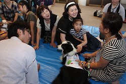 犬とにふれあいを楽しもう