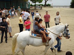 乗馬