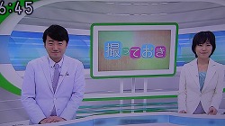 撮っておき1