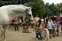 親子でえさやり