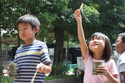 そうめんゲット！